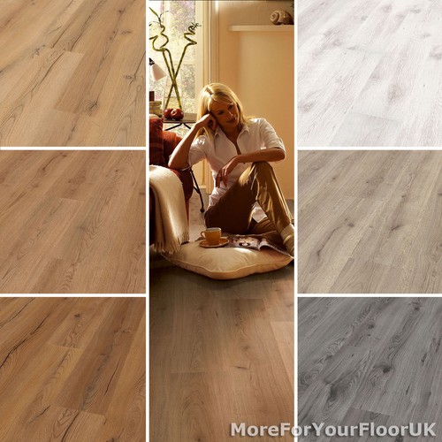 Standard pluse laminate - standard,